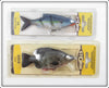 Storm Kickin' Shad & Kickin' Slab Lure Pair On Cards