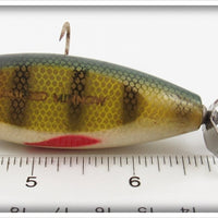 Creek Chub Perch Baby Injured Minnow