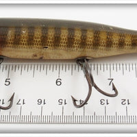 Creek Chub Pikie Scale Pikie