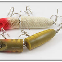 Makinen Perch & Red Head Holi Comet Pair With One Box