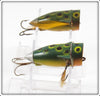 Airex Frog Spot Popit Pair