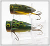 Airex Frog Spot Popit Pair