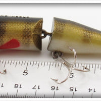 Creek Chub Perch Jointed Pikie