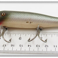 Creek Chub Silver Shiner Pikie