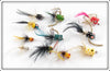 Vintage Fly Rod Popper Lot Of 11 Lures