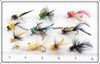 Fly Rod Popper Lot Of 11