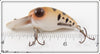 Heddon Crawdad Pop Eye Hedd Hunter