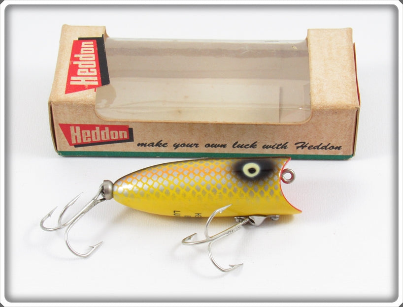 Vintage Heddon Golden Shiner Baby Lucky 13 Lure In Box
