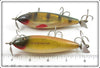 Creek Chub Golden Shiner & Perch Injured Minnow Pair