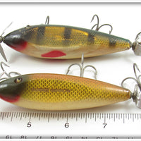 Creek Chub Golden Shiner & Perch Injured Minnow Pair