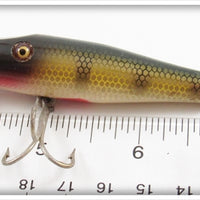 Creek Chub Perch Baby Pikie