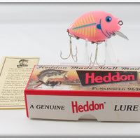 Heddon Pink White Blue Gill Punkinseed Spook 2nd Lure In Box