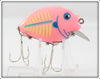 Heddon Pink White Blue Gill Punkinseed Spook 2nd In Box