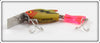 Heddon Perch Firetail Sonic In Box