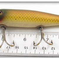 Creek Chub Golden Shiner Pikie