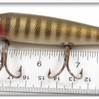 Creek Chub Pikie Scale Pikie