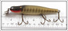 Creek Chub Pikie Scale Pikie