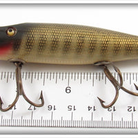 Creek Chub Pikie Scale Pikie