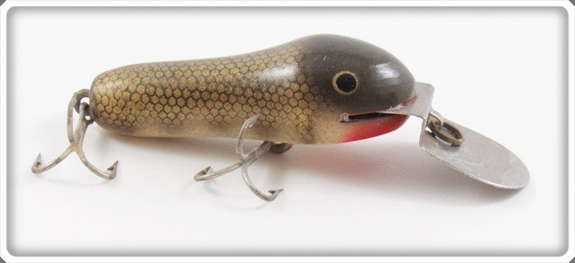 Vintage Creek Chub Pikie Scale Deepster Lure