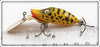 Heddon Yellow Coachdog Tiny Deep Dive Runt