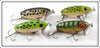 Vintage Arbogast Coachdog, Frog & Perch Jitterbug Lure Lot Of Four