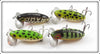 Arbogast Coachdog, Frog & Perch Jitterbug Lot Of Four