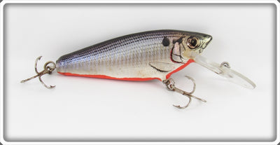 Vintage Bagley Shad On White Small Fry Shad Lure