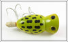 Fred Arbogast Frog Spot Hula Popper