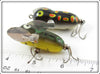 Heddon Black Frog & Bullfrog Tiny Crazy Crawler Pair