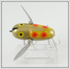 Heddon Gold Yellow Wings Crazy Crawler