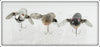 Heddon Silver Shore & Mouse Tiny Crazy Crawler Lot Of Three