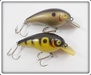 Cordell Big O Pair: Gold & Yellow With Black Stripes