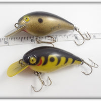 Cordell Big O Pair: Gold & Yellow With Black Stripes