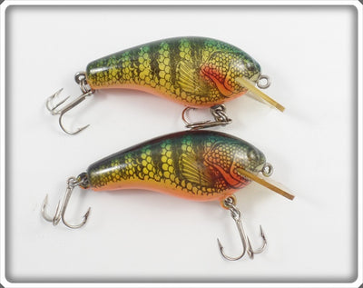 Cordell Big O Pair: Natural Perch