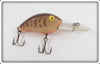 Rebel Deep Wee R Brown Crawdad