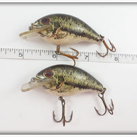 Rebel Square Lip Wee R Pair: Natural Bass