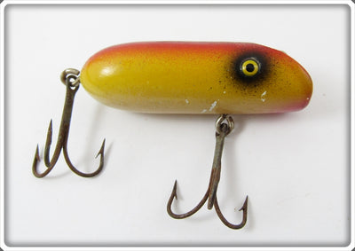 Paw Paw Rainbow Old Faithful Jr