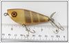 Barracuda Gold Scale Brown Stripes Topwater