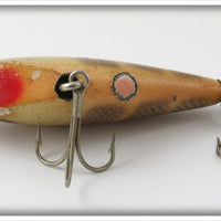 Barracuda Gold Scale Brown Stripes Topwater