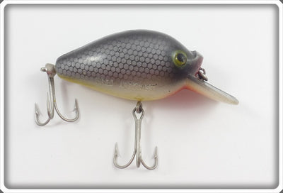 Arbogast Gray Scale Pug Nose