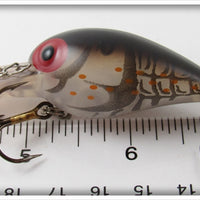 Storm Phantom Brown Crayfish Wiggle Wart