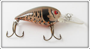 Storm Molting Craw Wiggle Wart Lure