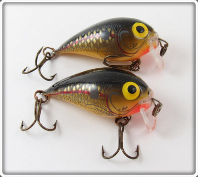 Storm Gold Shad Sub Wart Lure Pair