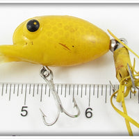 Arbogast Yellow Scale Bug Eye