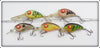 Rabble Rouser Ashley Lot Of Five For Fishing With