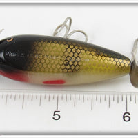 Creek Chub Perch Spinning Injured Minnow