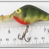 Young Y Natural Perch Count Shad