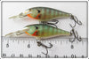 Rapala Natural Perch Shad Rap Pair