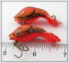 Unknown Red & Orange Crawdad Pair