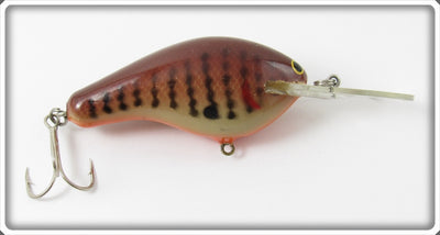 Bagley Dark Crayfish DB3 Divin' B3